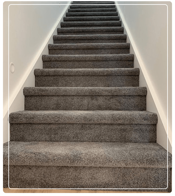 Best Carpet Cleaning Services In Noble Park